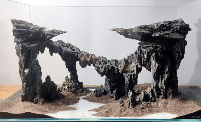 Twilight (TW) Aquascape - Showcasing Elegance and Natural Balance