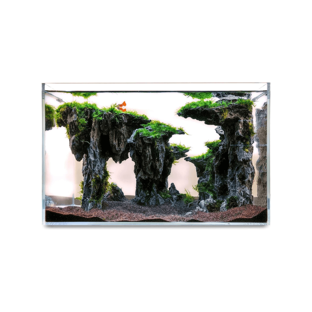 Cave of Gods
