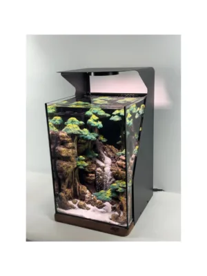 jungle waterfall